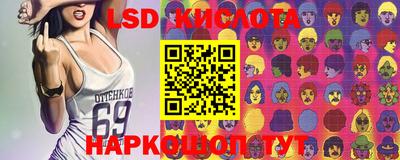 стафф Заволжье