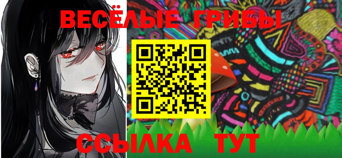 Псилоцибиновые грибы Psilocybine cubensis Кызыл